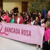 Bancada Rosa de la Cámara de Diputadas y Diputados.