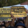 Carteles de la Red Chilena contra la Violencia hacia las Mujeres: Asesores de mujeres fuera de cargos públicos