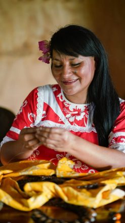 Emprendedora mapuche, Sylvana