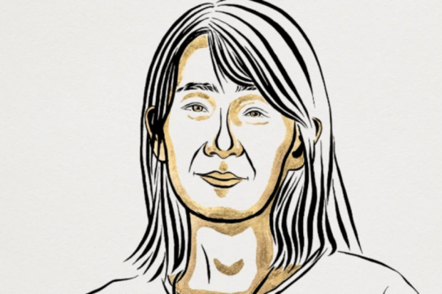 Han Kang, ilustración compartida por la Academia Sueca