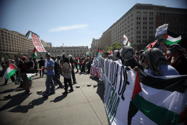 Marcha en apoyo a Palestina. Foto: ATON