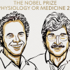 Los ganadores del Premio Nobel de Medicina 2024. Foto: X: @NobelPrize.