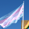 Bandera de la comunidad transexual.