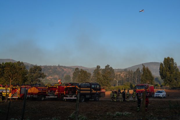 Bomberos combaten incendio forestal en el sector Los molles Quilpue