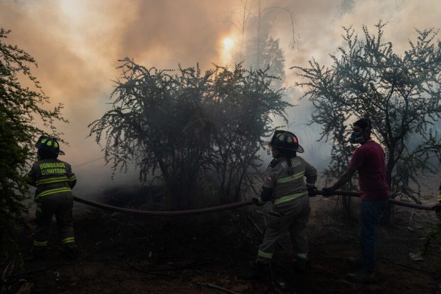 Bomberos combaten incendio forestal en el sector Los molles Quilpue