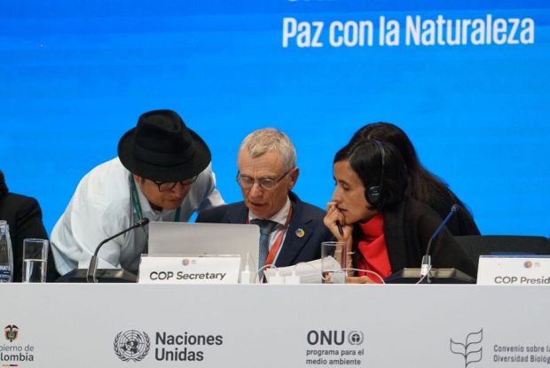 Foto: COP16 Colombia