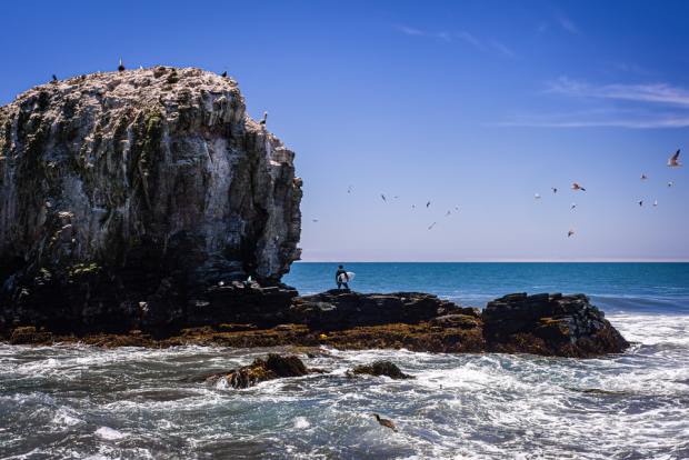 Parque Punta de Lobos