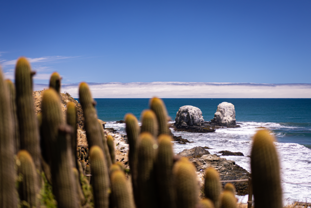 Parque Punta de Lobos