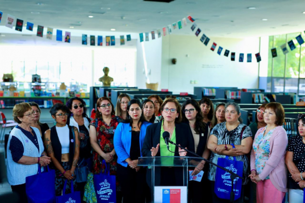 Encuesta Nacional de Violencia Contra las Mujeres 2024. Subsecretaría de Prevención del Delito. 