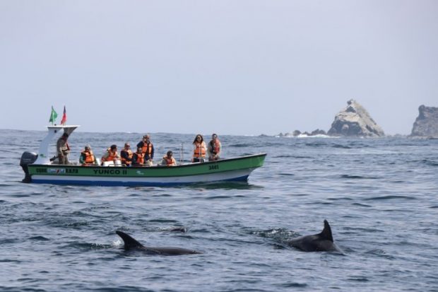 Punta de Choros