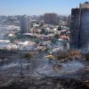 Conaf trabaja intensamente en apagar un incendio forestal en una ladera del Cerro San Cristobal en la comuna de Recoleta. Foto: 
Javier Torres/Aton Chile