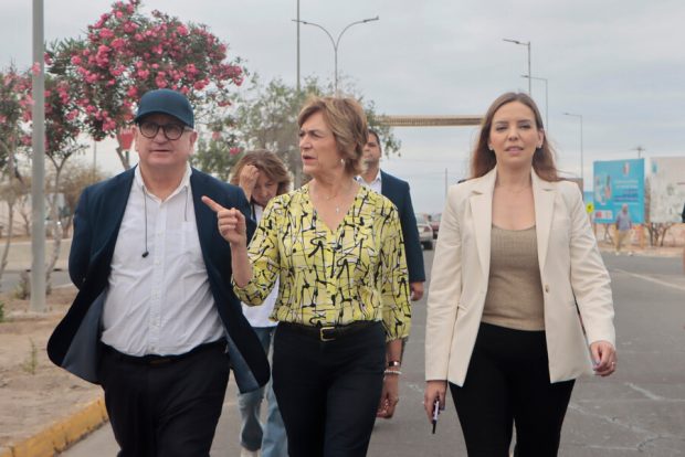 Evelyn Matthei junto a parlamentarios caminando