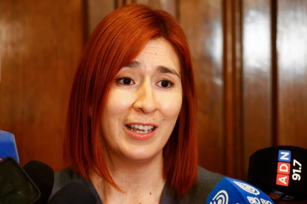 Diputada Catalina Pérez. 