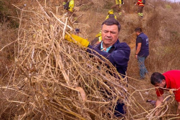 Ministro Valenzuela desmalezando cerro Jiménez, en actividad de prevención de incendios forestales.