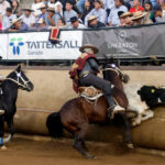 Pareja de huasos en caballos chilenos realizando una atajada a un novillo contra la quincha durante una competencia de rodeo en Chile. En el fondo se observa al público en la galería y carteles publicitarios.