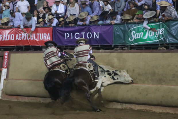 Pareja de huasos en caballos chilenos realizando una atajada a un novillo contra la quincha durante una competencia de rodeo en Chile. En el fondo se observa al público en la galería y carteles publicitarios.