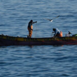 Pesca ilegal en Chile: denuncia contra empresa china abre debate por vacíos legales y debilidades en fiscalización Denuncia contra empresa china por pesca ilegal abre debate por vacíos legales y debilidades en fiscalización