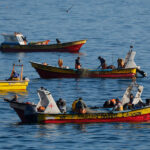 Reacciones por decisión del Gobierno de no reingresar proyecto de nueva ley de pesca