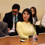 Araos confirmó que ministra Lincolao le pidió elaborar una lista de despidos La minstra de Ciencia Ximena Lincolao durante la comision de Cultura en la Camara de Diputados