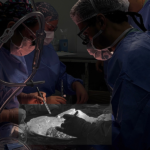Primer trasplante hepático con donante vivo en el Hospital Clínico U. de Chile: un hito para la salud pública universitaria Hospital