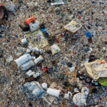 Semana del Reciclaje: especialistas de la U. de Chile abordan los desafíos de la gestión de residuos y el reciclaje doméstico Reciclaje.
