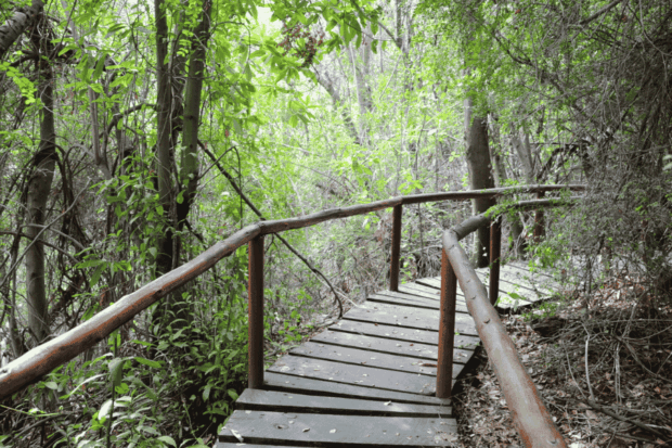 Parque Nacional Río Clarillo.