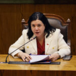 Ministra Steinert asegura que no esperaba la “exigencia de un plan de seguridad estructurado” Trinidad Steinert